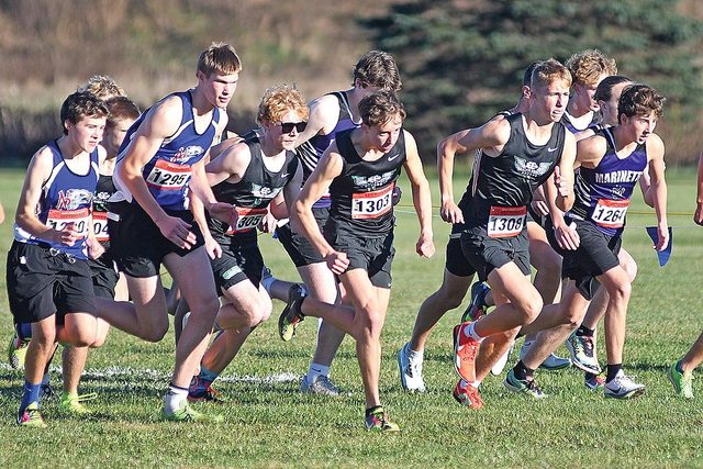 High school cross country runners at the start of a race