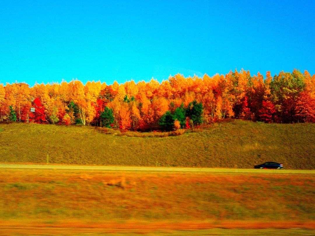 Fall foliage in bright orange and red near Tomahawk, Wisconsin