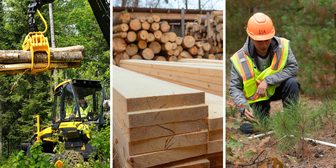 Forest Products Week kicks off in Rhinelander, with tours and student events through Oct. 24