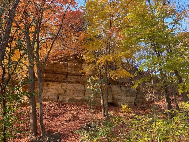 Fall color on a bluff above La Crosse