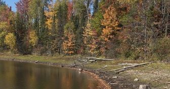 Federal drought disaster loans open to northern Wisconsin businesses