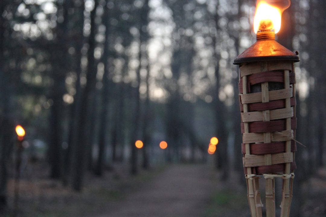 A torch-lit trail at Schmeeckle Reserve during the Fall Candlelight Hike