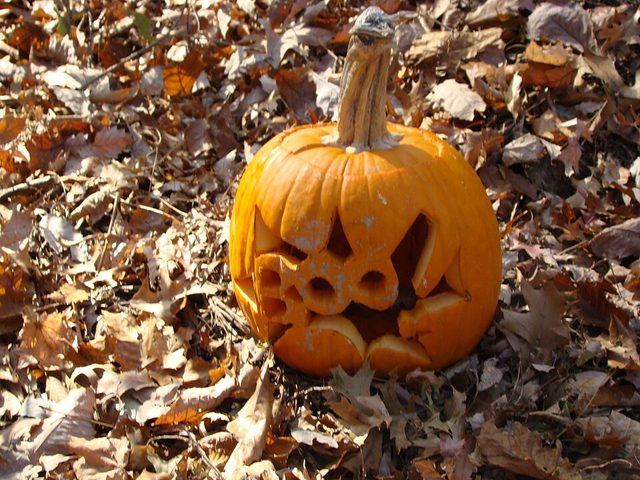 Three weekend events to catch Oct. 22-25 in the Wisconsin Rapids area