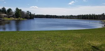 A lake shoreline with grass and pine trees at South Wood County Park